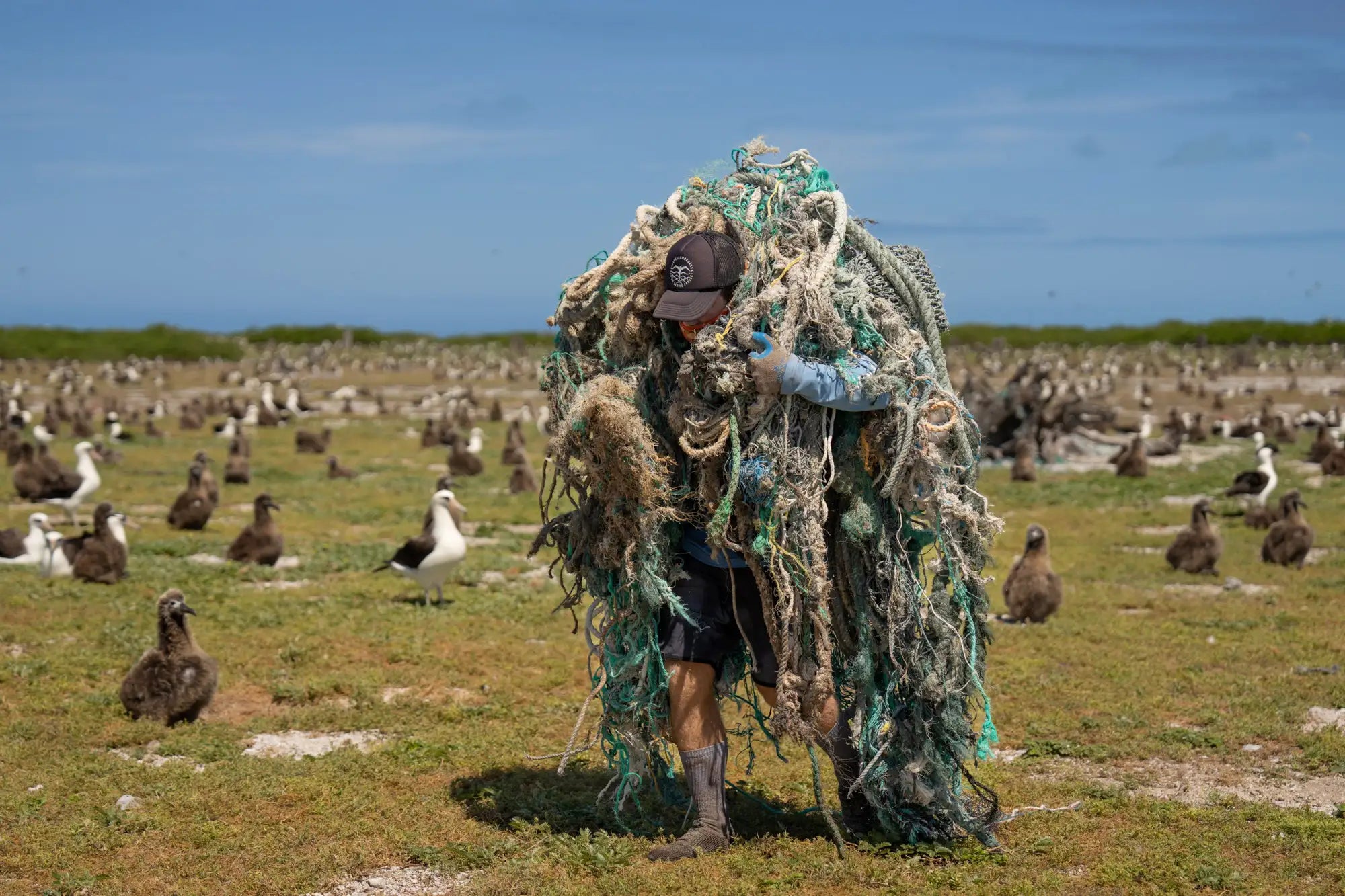 Person carrying a large load of fishing nets and debris on a grassy island with birds in the background