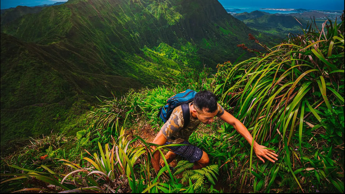 Hiker Climbing Tropical Ridge