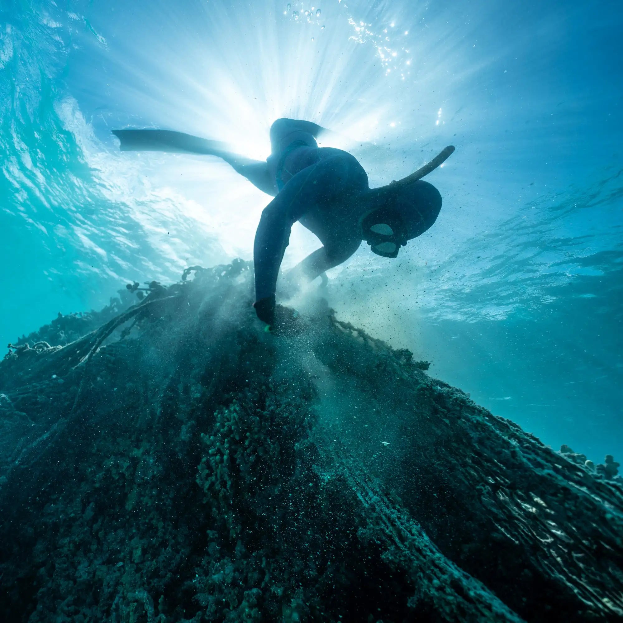 Person diving underwater removing ocean debris with sunlight filtering through the water.