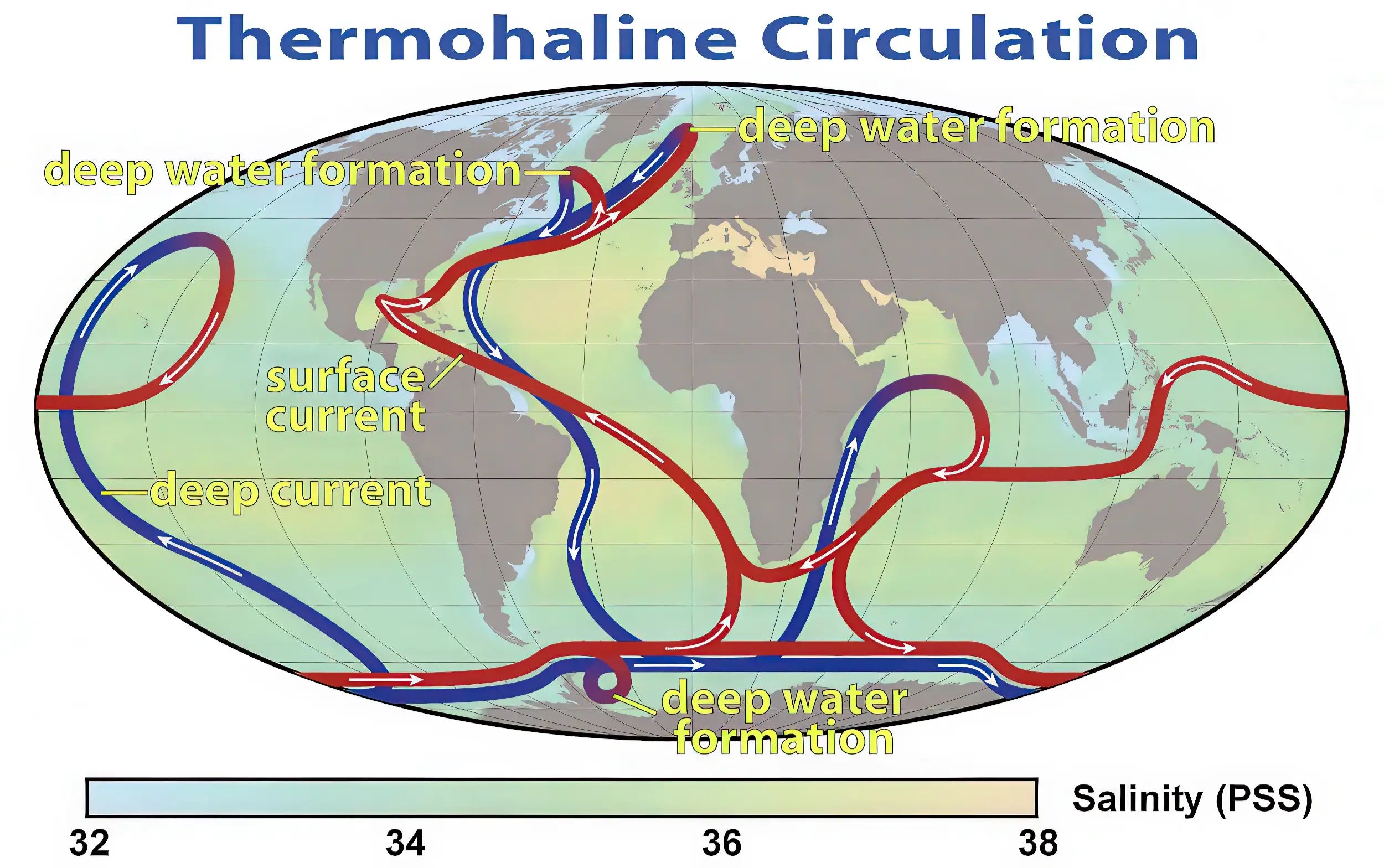 Map of thermohaline circulation with labeled currents and salinity gradient.