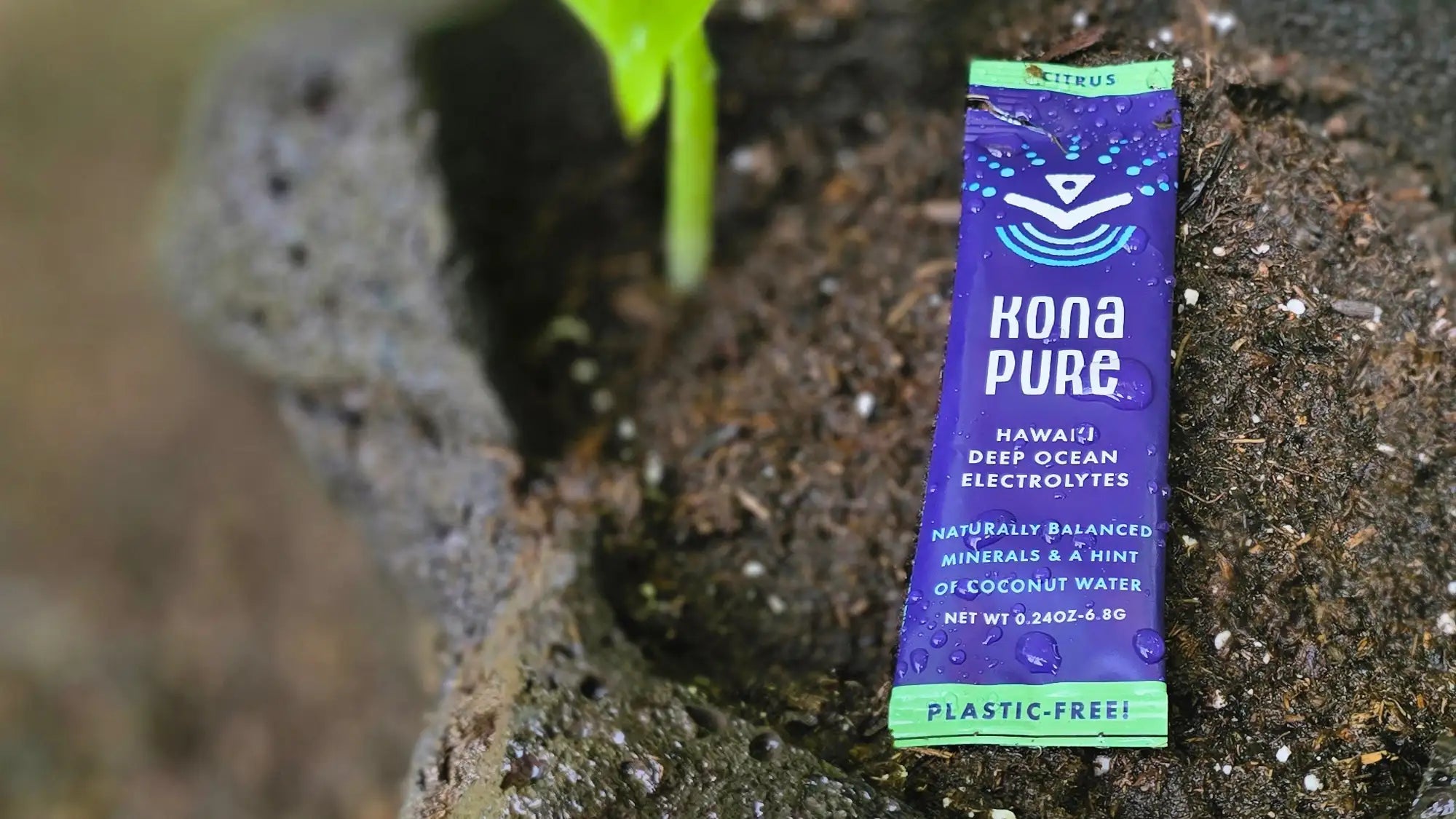 Kona Pure packet on soil with a small plant
