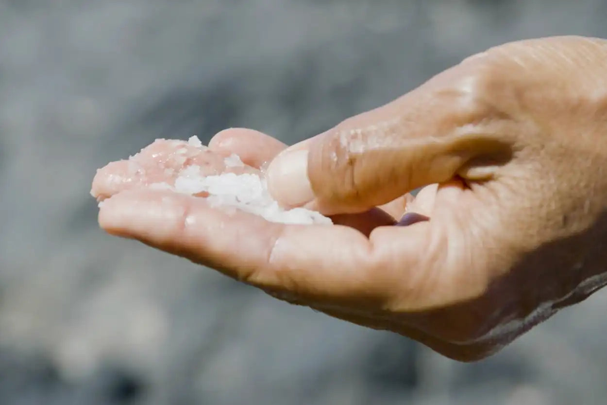 Hand holding small white salt crystals against a blurred natural background