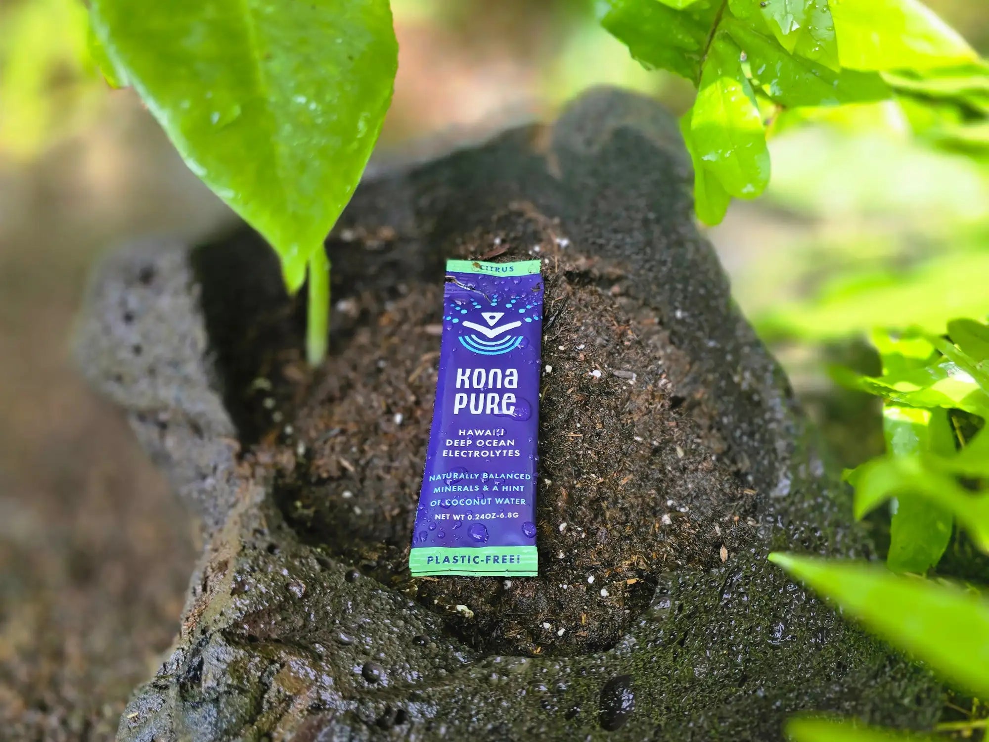 Kona Pure package on a volcanic rock with green leaves in the background